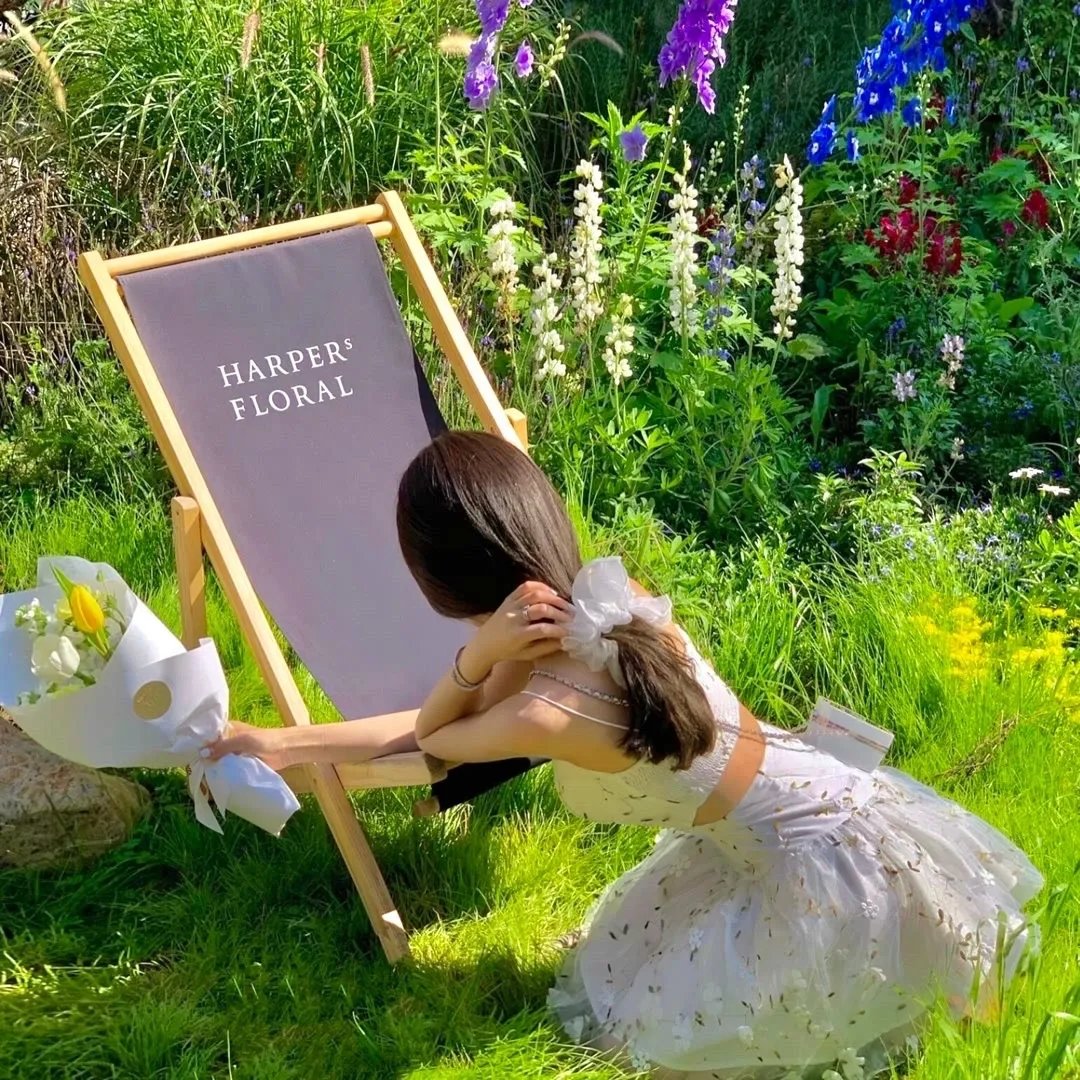 我的老婆来自一千年前